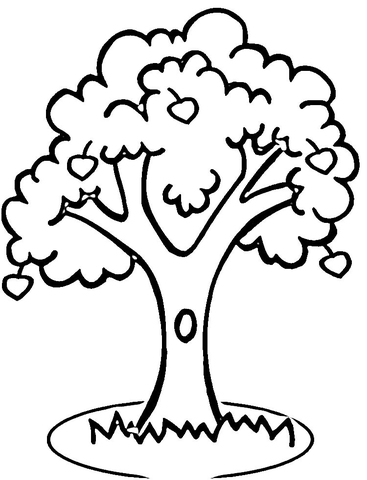 Apple Tree Coloring Page